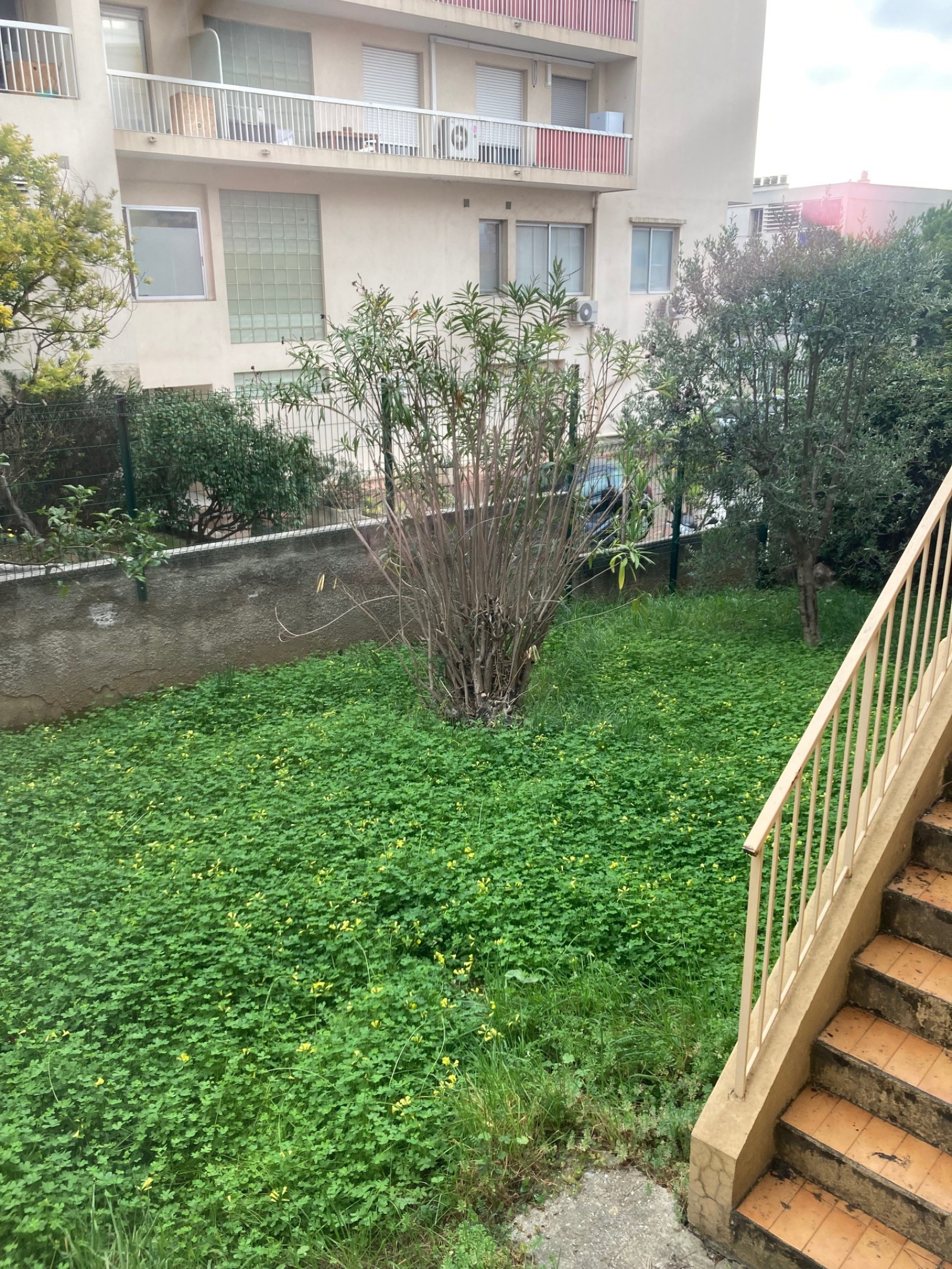 Image_, Local professionnel, Nice, ref :1584